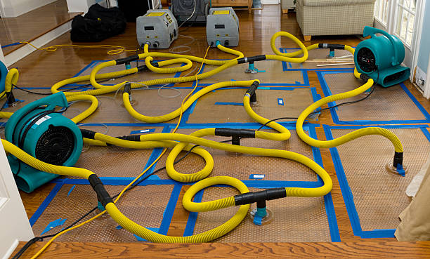 Professional Crawl Space Water Removal technician working in Abbeville, MS